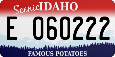 ID license plate E060222