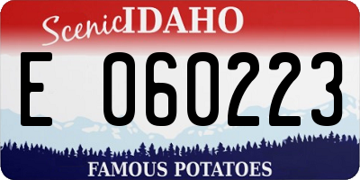 ID license plate E060223