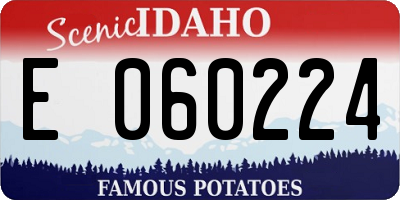 ID license plate E060224