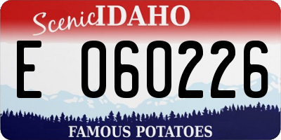 ID license plate E060226