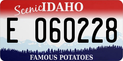 ID license plate E060228