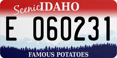 ID license plate E060231