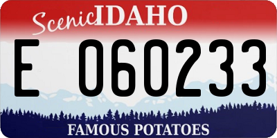 ID license plate E060233