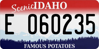 ID license plate E060235