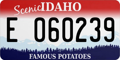 ID license plate E060239
