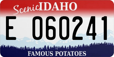 ID license plate E060241