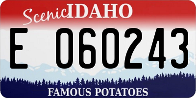 ID license plate E060243