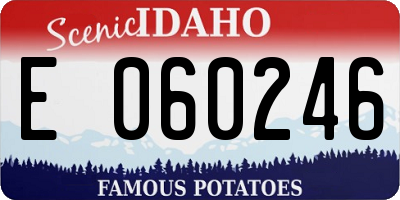 ID license plate E060246