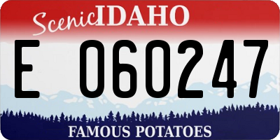 ID license plate E060247