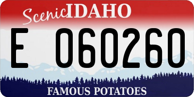 ID license plate E060260