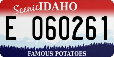 ID license plate E060261