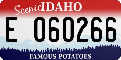 ID license plate E060266