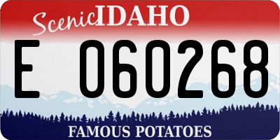ID license plate E060268