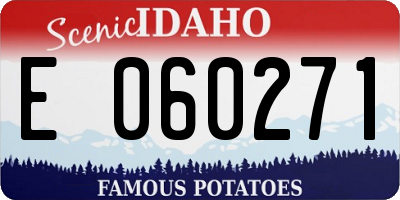 ID license plate E060271