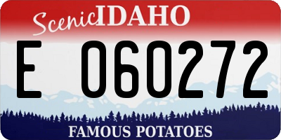 ID license plate E060272