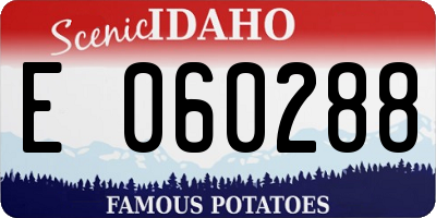 ID license plate E060288