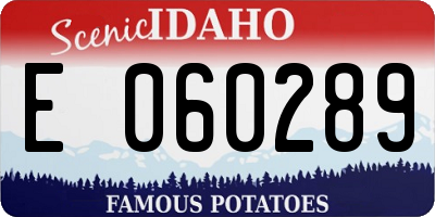 ID license plate E060289