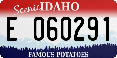ID license plate E060291