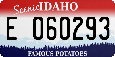 ID license plate E060293