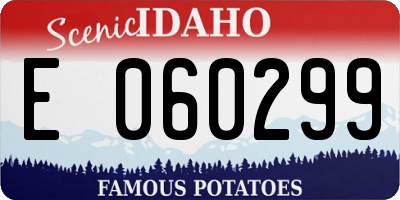 ID license plate E060299