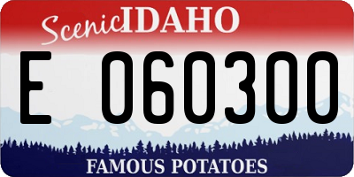 ID license plate E060300