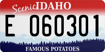 ID license plate E060301