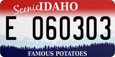 ID license plate E060303