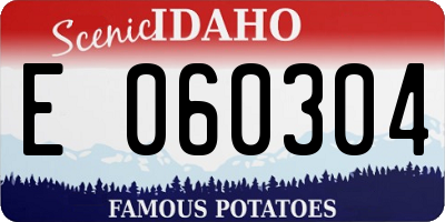 ID license plate E060304