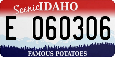 ID license plate E060306