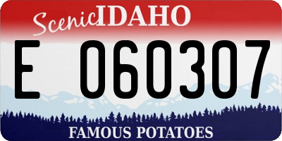 ID license plate E060307