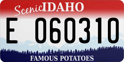 ID license plate E060310