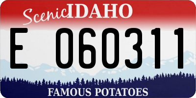 ID license plate E060311