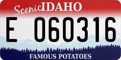 ID license plate E060316