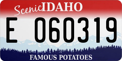 ID license plate E060319