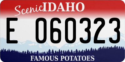 ID license plate E060323