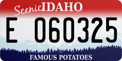 ID license plate E060325