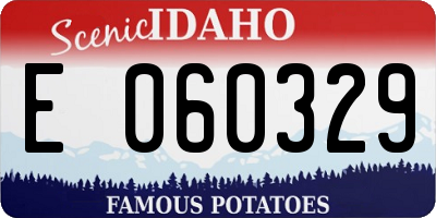 ID license plate E060329