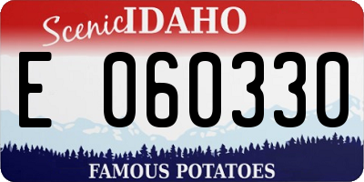ID license plate E060330