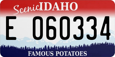 ID license plate E060334