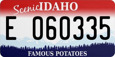 ID license plate E060335