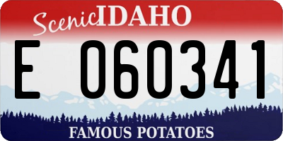 ID license plate E060341