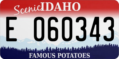 ID license plate E060343