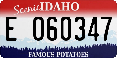 ID license plate E060347