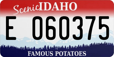 ID license plate E060375
