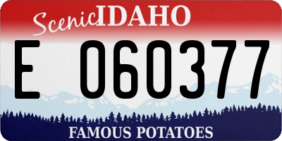 ID license plate E060377