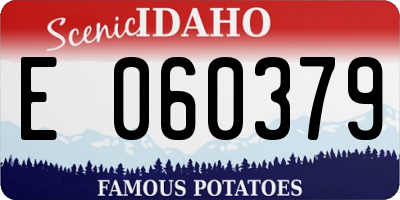 ID license plate E060379