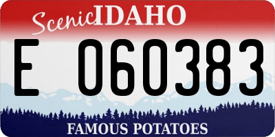 ID license plate E060383