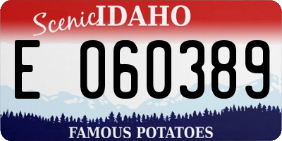ID license plate E060389