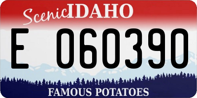 ID license plate E060390