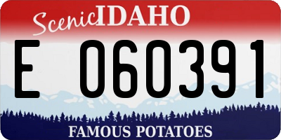 ID license plate E060391